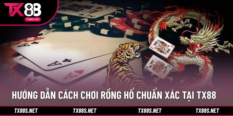 Các bước tham gia rồng hổ theo trình tự rõ ràng