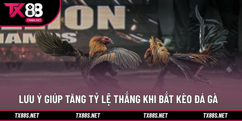 Kinh nghiệm thực tế giúp lựa chọn kèo hiệu quả hơn