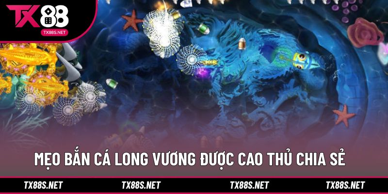 Kinh nghiệm thực tế giúp nâng cao hiệu quả săn thưởng