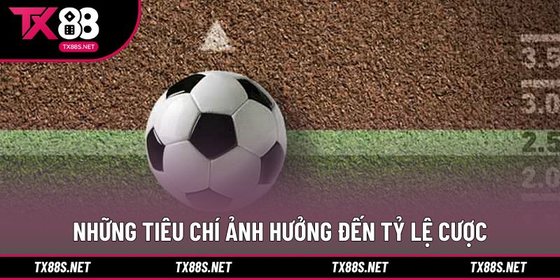 Những tiêu chí ảnh hưởng đến tỷ lệ cược