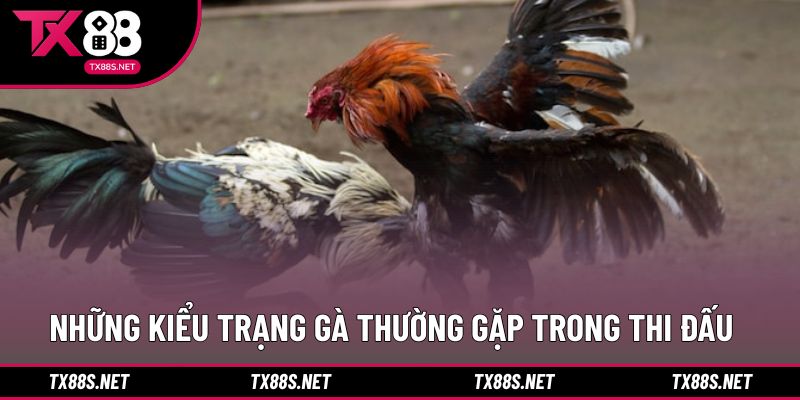 Phân loại trạng thái thường thấy trong các trận đấu