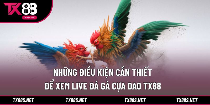 Yêu cầu cần chuẩn bị trước khi xem trực tiếp